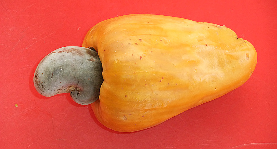 Fruta del Marañón