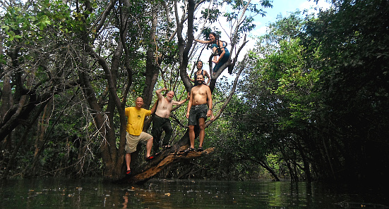 Inundation Forest - Ca&ntilde;o Manat&iacute;